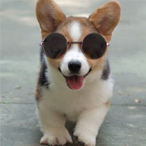 Dog Cute Modeling Sunglasses Teddy Pet Accessories Glasses