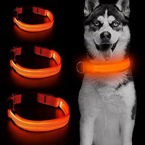 USB Charging Led Dog Collar - Glow In Dark, Visibility Leash