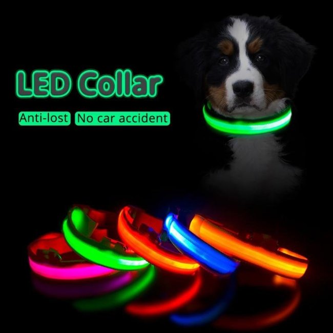 USB Charging Led Dog Collar - Glow In Dark, Visibility Leash