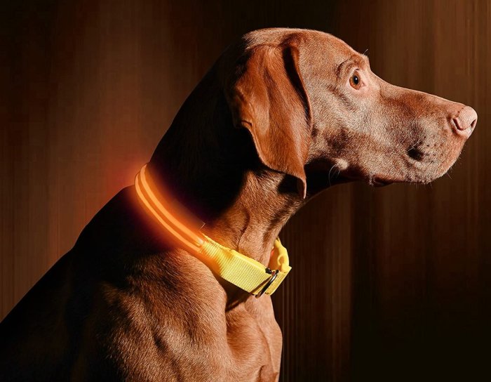 USB Charging Led Dog Collar - Glow In Dark, Visibility Leash