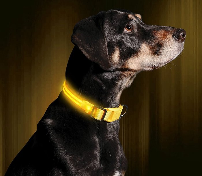USB Charging Led Dog Collar - Glow In Dark, Visibility Leash