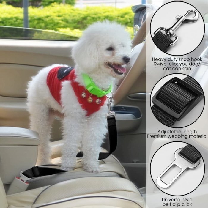 Safety car seat belt for dogs