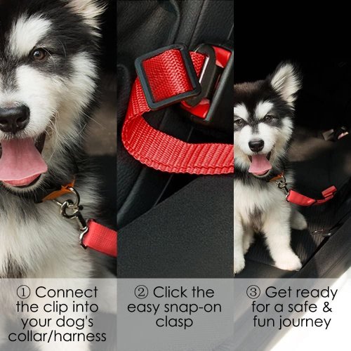 Safety car seat belt for dogs