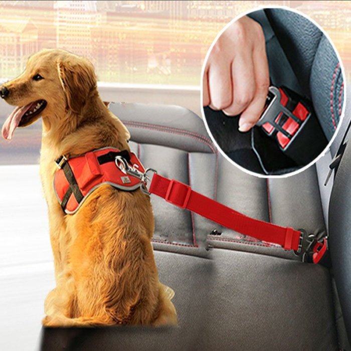 Safety car seat belt for dogs