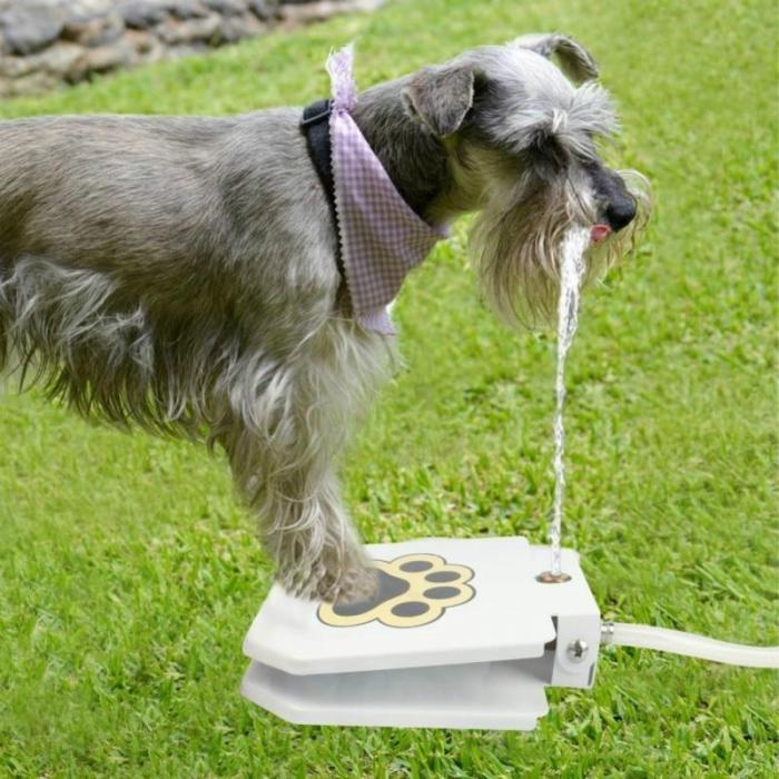 Outdoor Automatic Dog Water Fountain Step On Toy