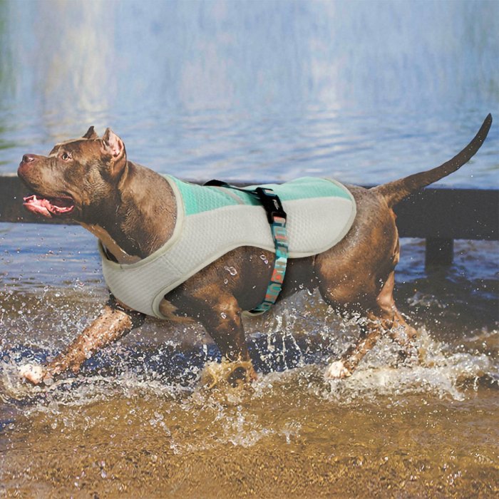 Dog Cooling Vest