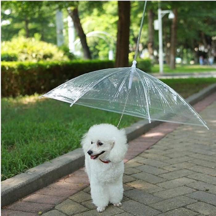 Dog Umbrella with Leash
