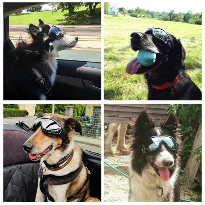 Pet Dog Windproof and Waterproof Goggles Medium and Large Dog Sunglasses