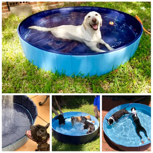 Foldable Dog Paddling Pool