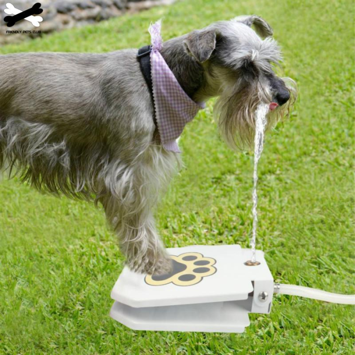 Automatic Dog Water Fountain