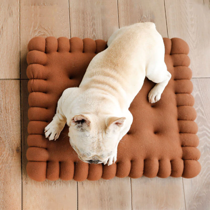 Biscuit Small Dog Cushion Bed