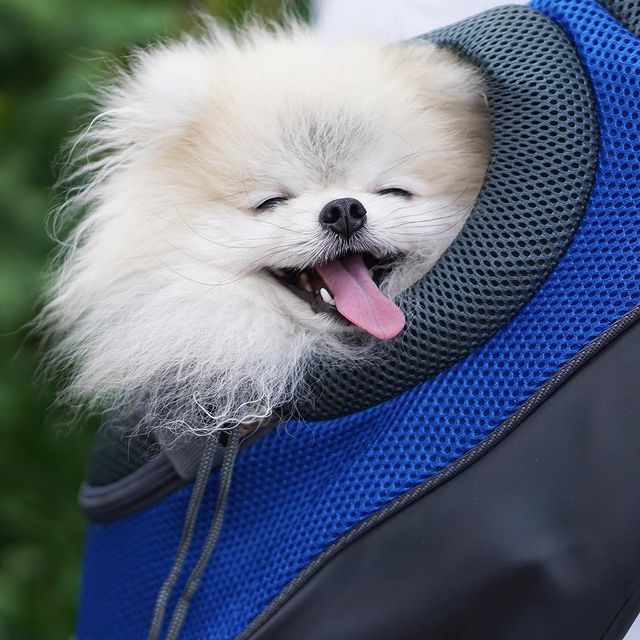 Pet Backpack Carrier