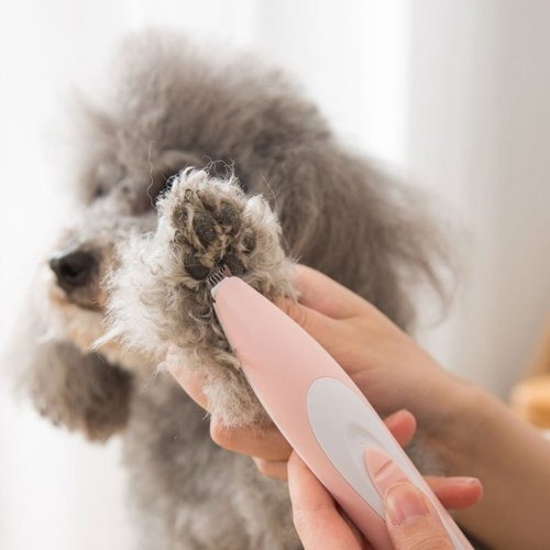 Dog Grooming Cordless Low Noise Electric Trimmer
