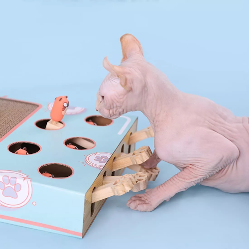 Multifunctional Cat Whack-a-Mole Toy Box