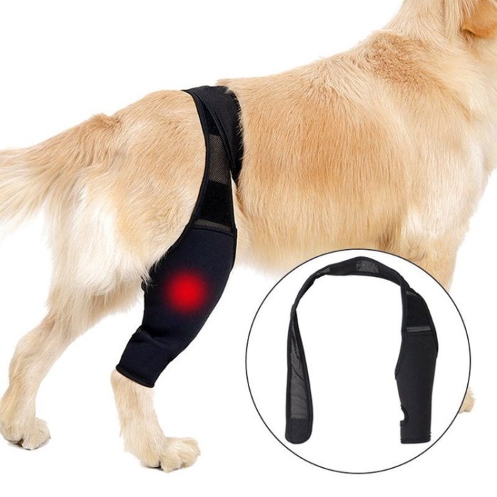 Dog Knee Brace Support For Torn Acl Dog Braces