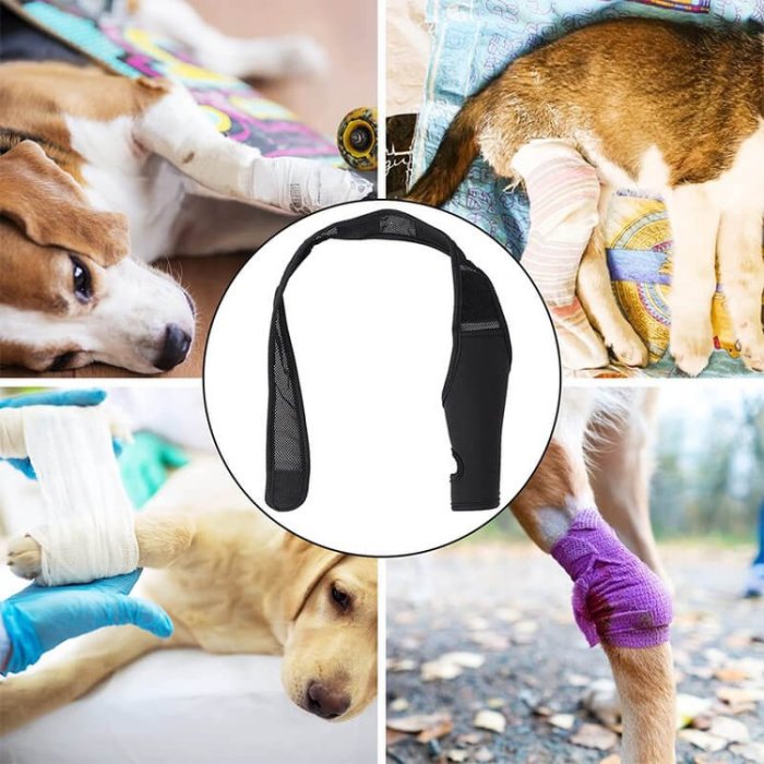 Dog Knee Brace Support For Torn Acl Dog Braces