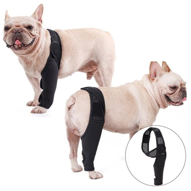 Dog Knee Brace Support For Torn Acl Dog Braces