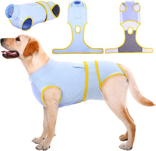 Recovery Suit for Dogs Cats After Surgery