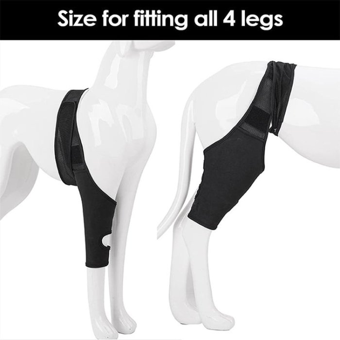 Dog Knee Brace Support For Torn Acl Dog Braces