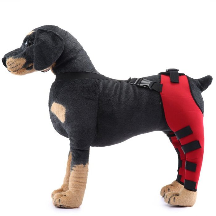 Double Dog Hip Support For Hip Dysplasia For Front or Back Leg Dog Brace