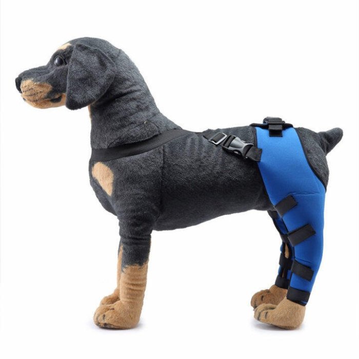 Double Dog Hip Support For Hip Dysplasia For Front or Back Leg Dog Brace