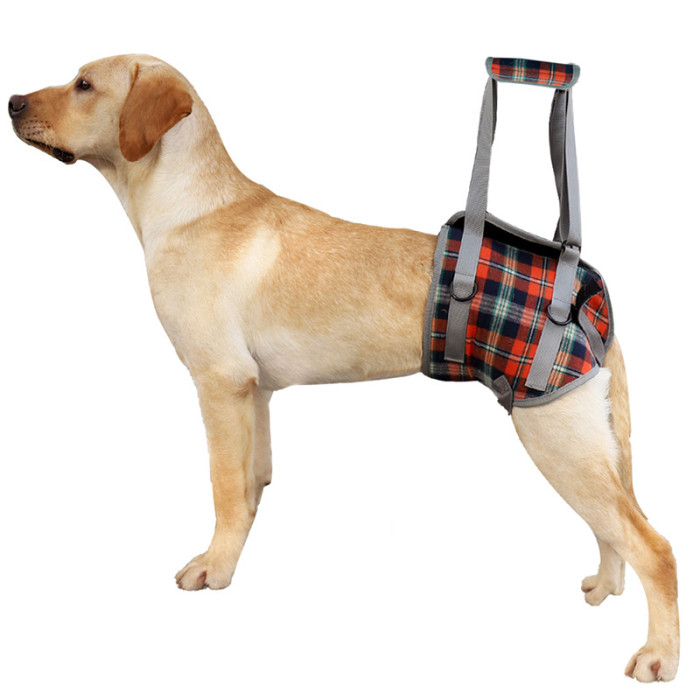 Dog Support Harness Front and Back Legs For Small Medium Large Dogs