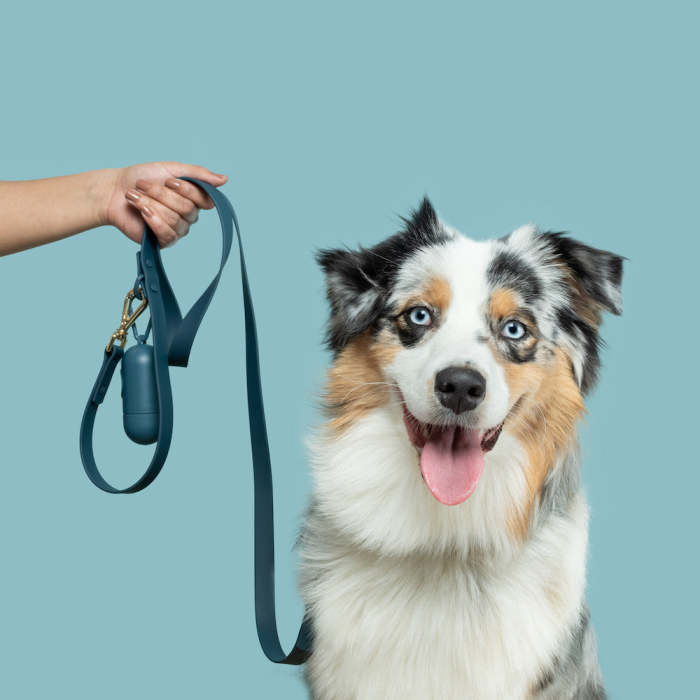 Non-Pull Dog Harness | Anti Pull Harness For Dogs