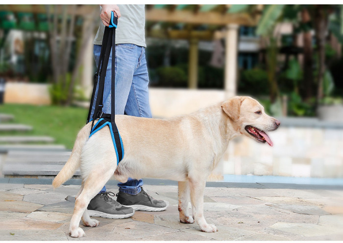 Dog Sling For Back Legs Harness