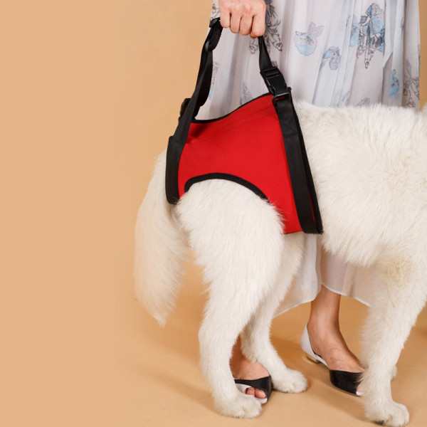 Dog Lift Harness for Dog Front Back Leg