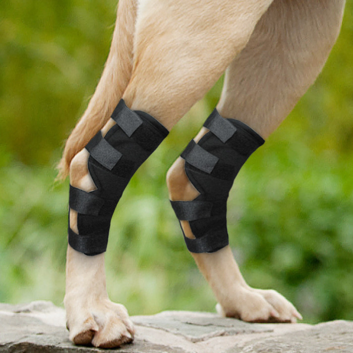 Dog Leg Brace Hock Support Brace For Dog - A Pair