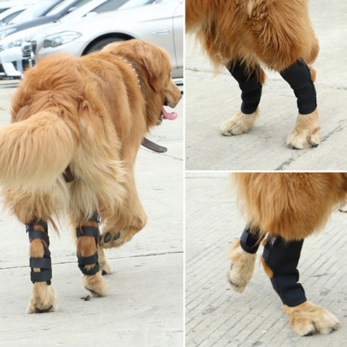 Dog Leg Brace Hock Support Brace For Dog - A Pair