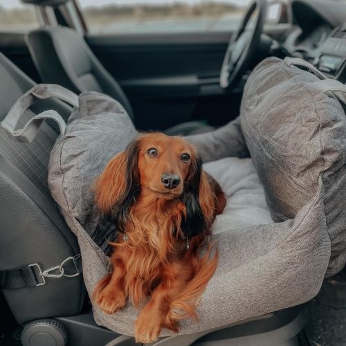 Travel Dog Car Seat Bed - Gymbag Water-Resistant