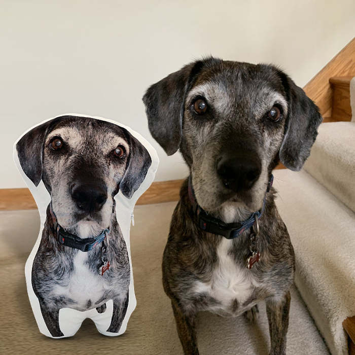 Custom Pet Shaped Pillow that Look Like your Pet