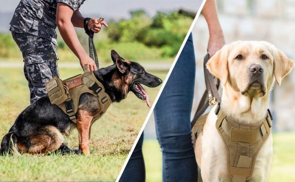 Military No-Pull Tactical Dog Harness Vest - Vest + Leash + 3 Side Bags