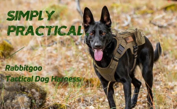 Military No-Pull Tactical Dog Harness Vest - Vest + Leash