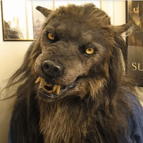 Werewolf Headwear Costume Mask