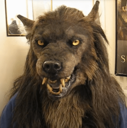 Werewolf Headwear Costume Mask
