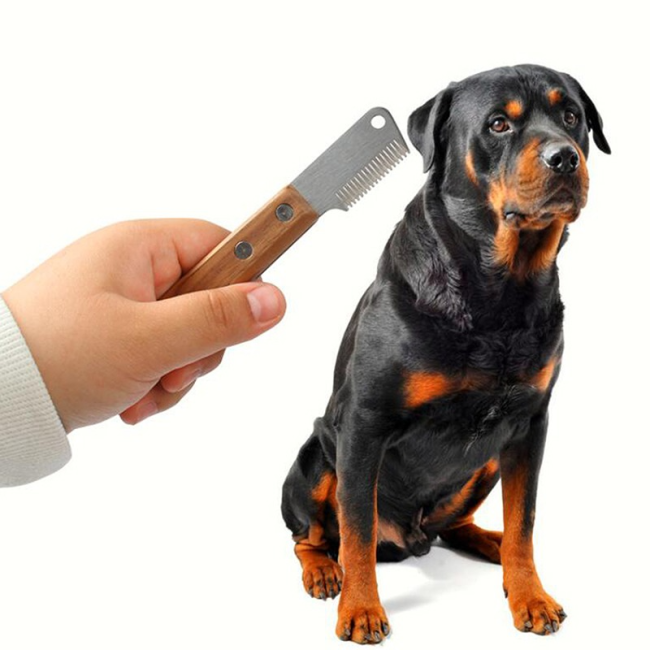 PET HAIR REMOVAL COMB