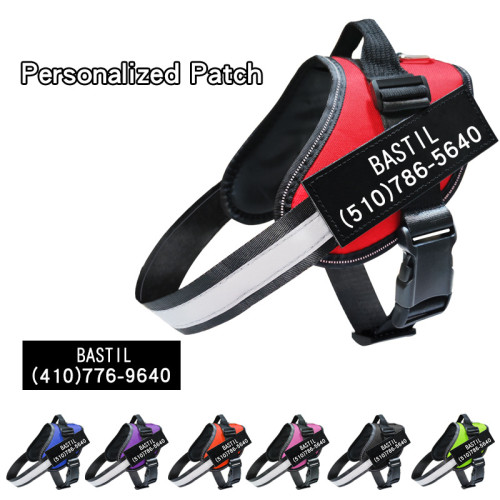THE PERSONALIZED NO PULL HARNESS