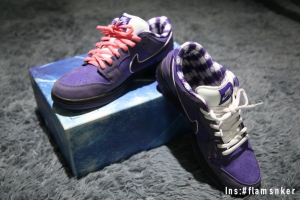 nike sb lobster special box