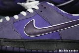 Nike SB Dunk Low Concepts Purple Lobster (Special Box)