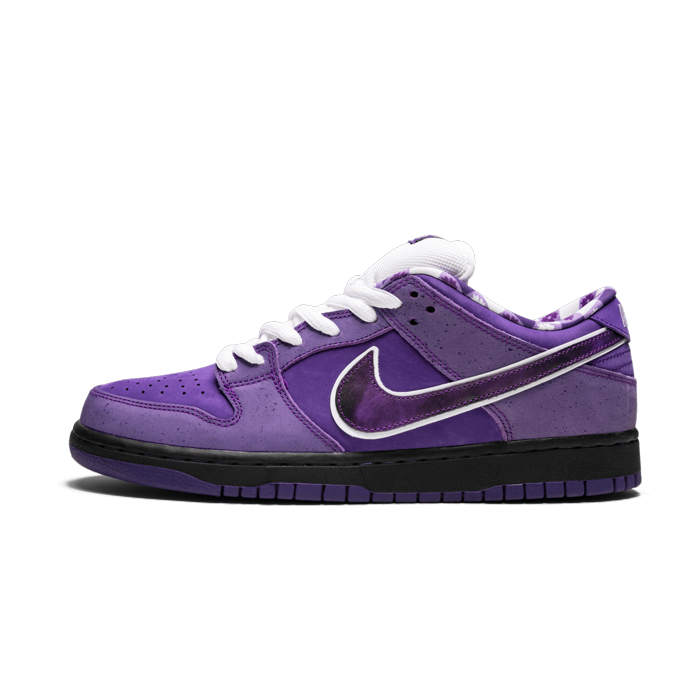 nike sb dunk low concepts