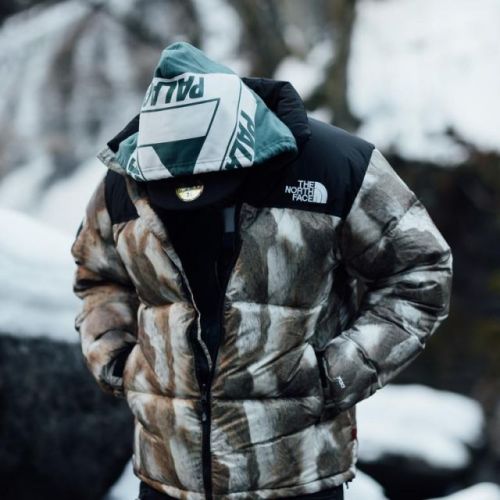 Supreme The North Face Fur Print Nuptse