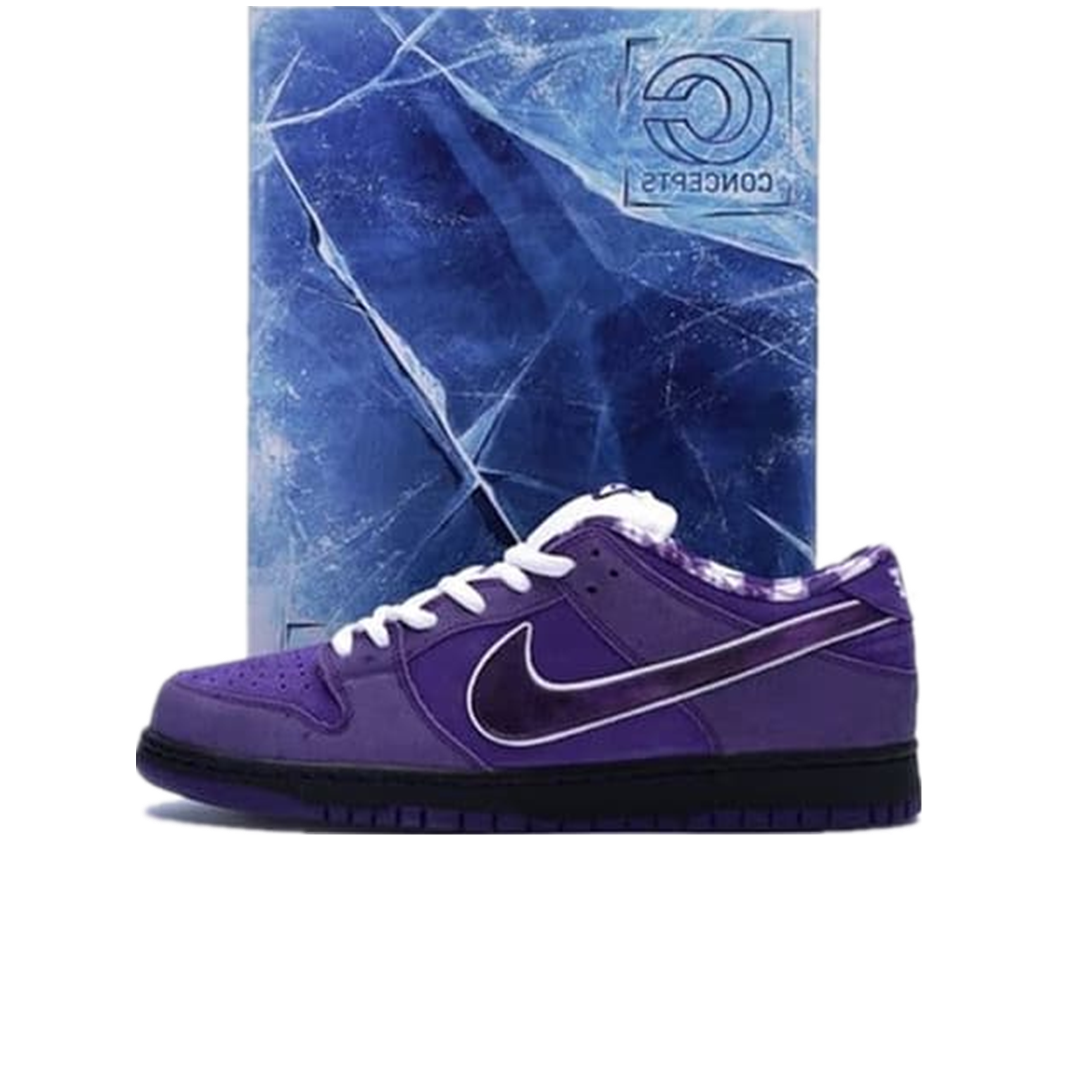 concepts purple lobster special box