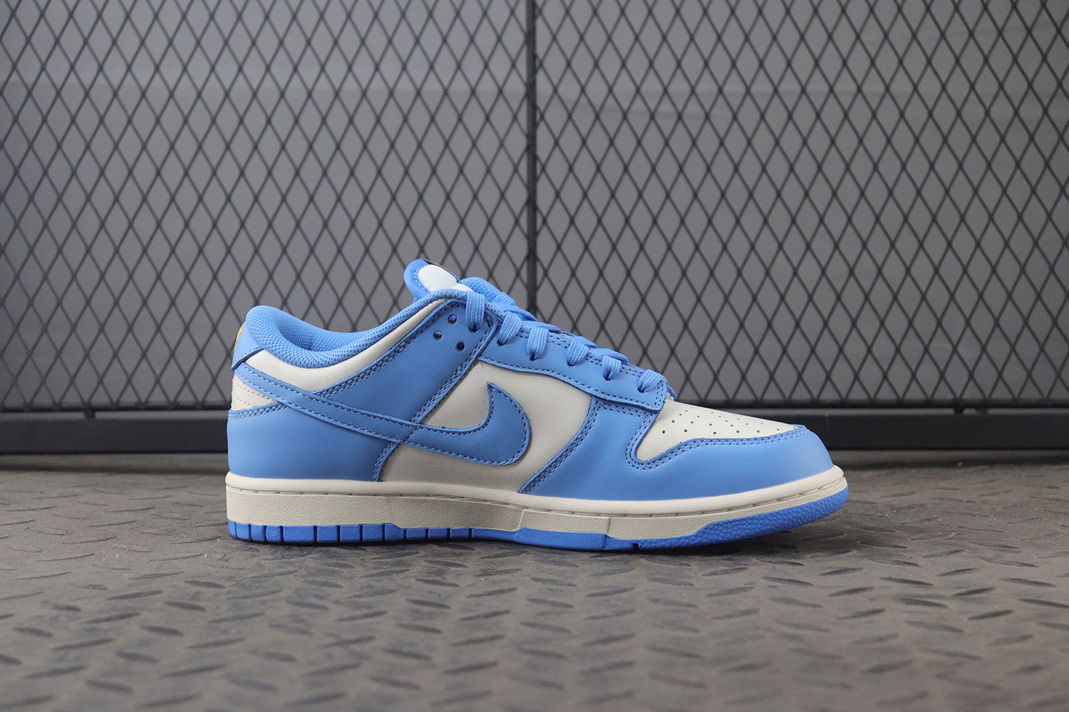 womens dunk low coast where to buy