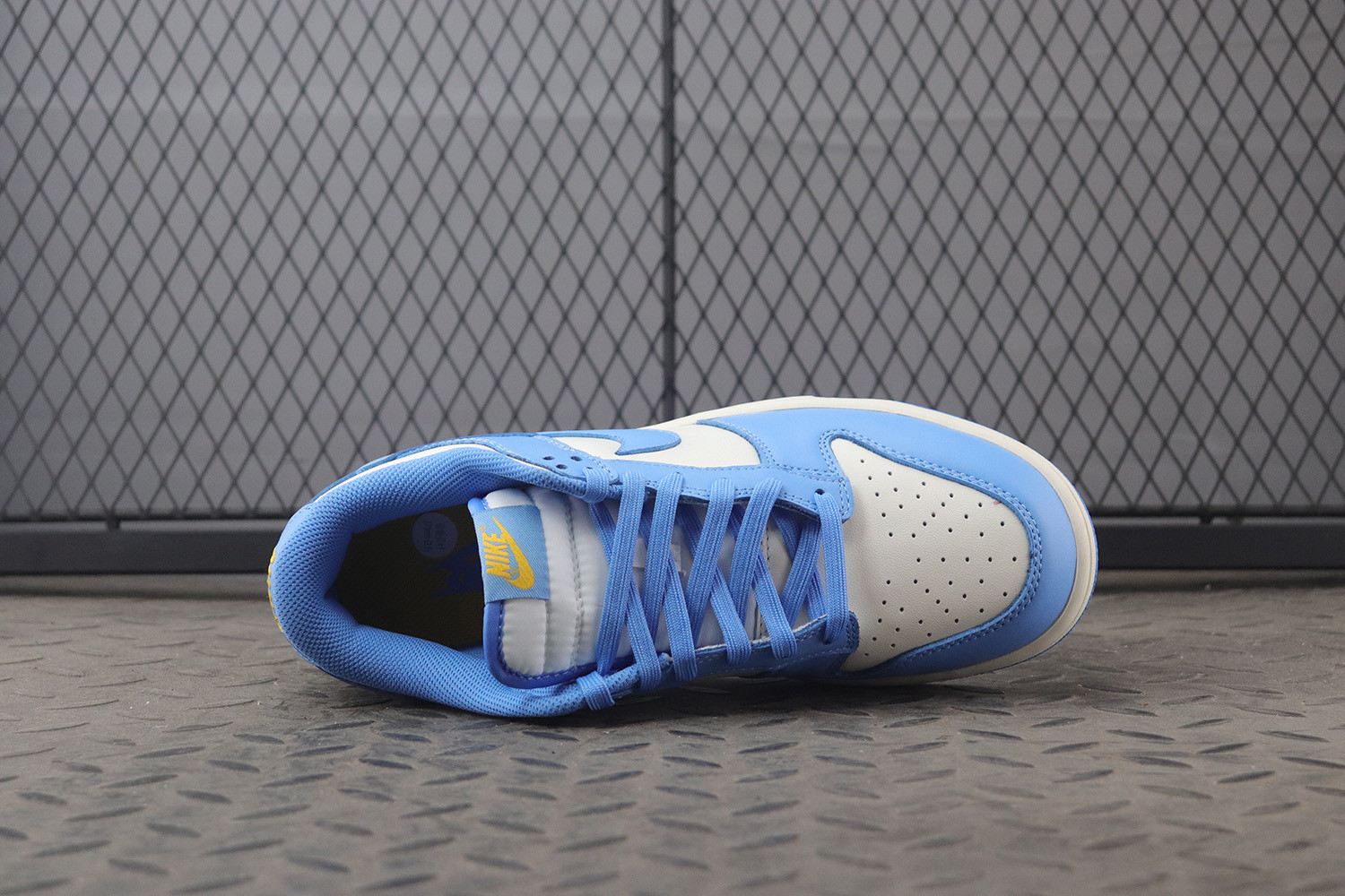 womens dunk low coast where to buy