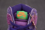 Nike SB Dunk High Reverse Skunk 420 (Special Box)