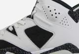 Jordan 6 Retro Oreo