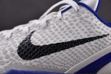 Nike Kobe VI Protro 6  Concord