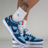 Nike SB Dunk Low Pro Why So Sad?